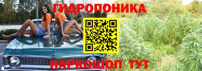 прущий лед Обь