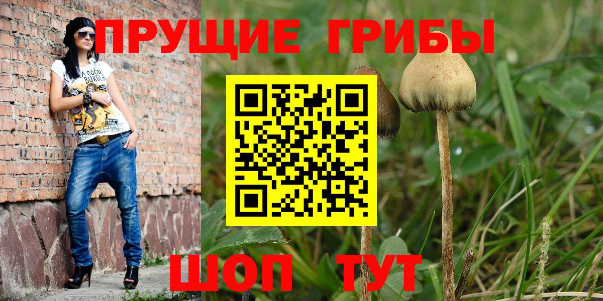 Псилоцибиновые грибы прущие грибы Нефтекумск