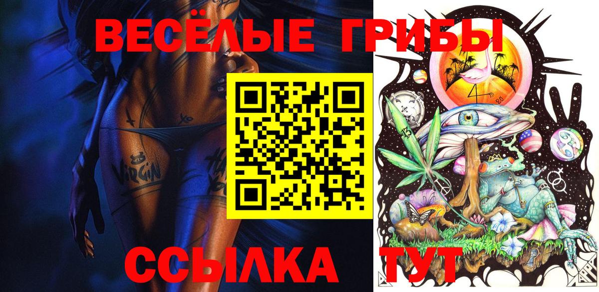 Псилоцибиновые грибы Magic Shrooms  Псилоцибиновые грибы Psilocybine cubensis  Вход с VPN  Нефтекумск 